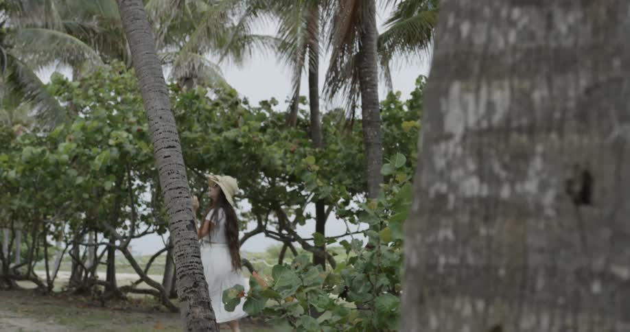 Woman in beach hat looking up at a palm tree