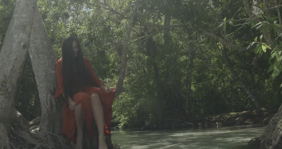 Woman in red dress sitting on tree branch over a pond