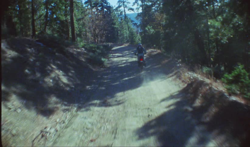 Person riding a motocross bike on a trail in the forest