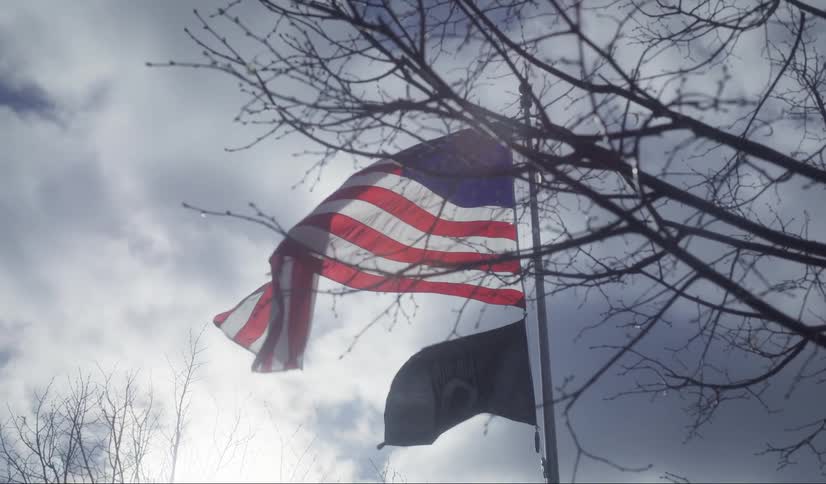 Set beneath bare branches the usa flag and powmia flag flutter in a gentle breeze against an overcast sky with slender twigs partially framing the flags as filtered light reveals subtle details and the fabric ripples in slow motion