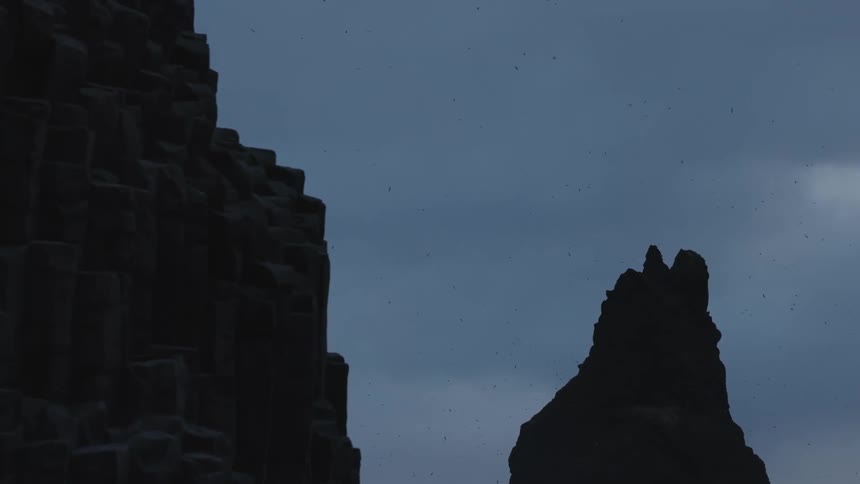 Birds fly around the jagged rocks