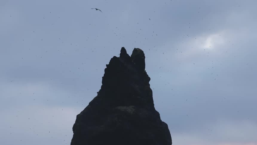 A bird flies over a dark jagged rock formation silhouetted against a pale overcast sky