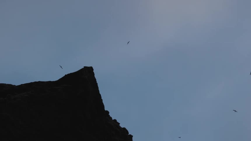 Several birds fly over the peak of a mountain