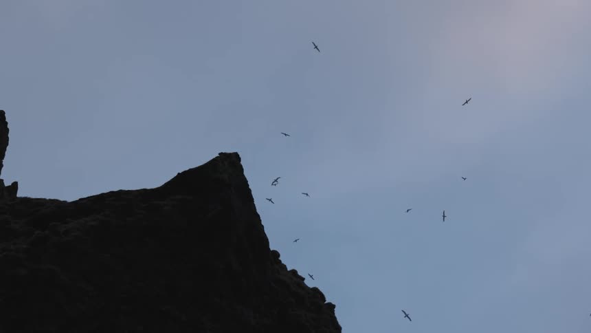 A jagged cliff silhouette rises against a clear sky with several birds circling above