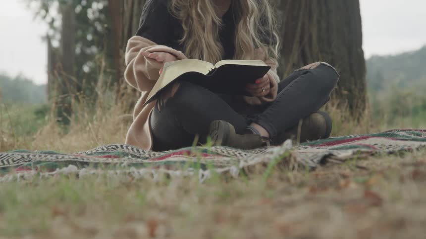 Woman sitting on a rug in the grass next to a tree and reading a book