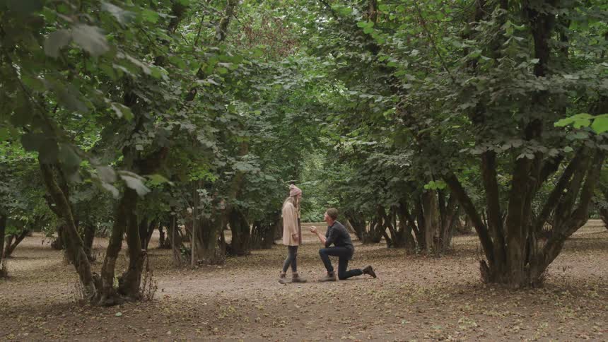 A man proposes to a woman in a park