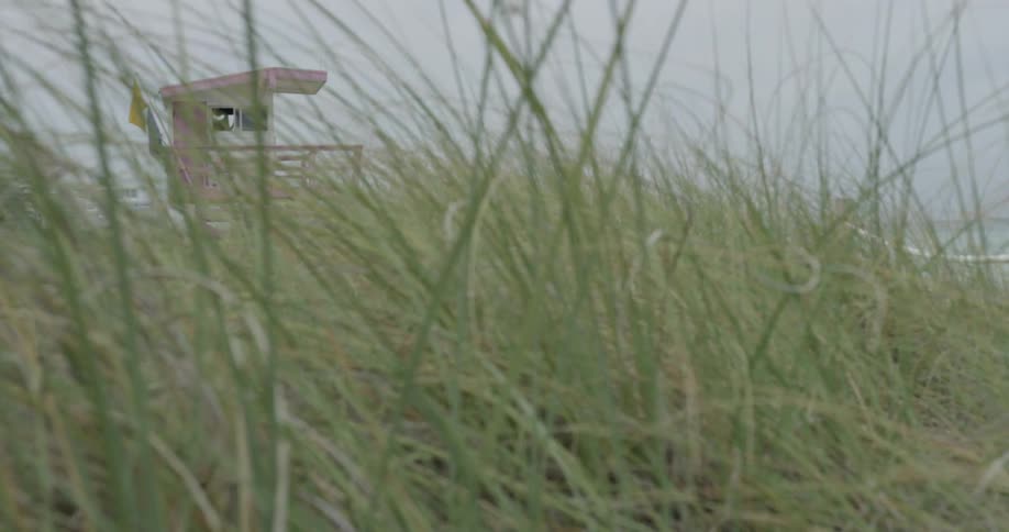 Pink colored lifeguard tower through long blades of green grass