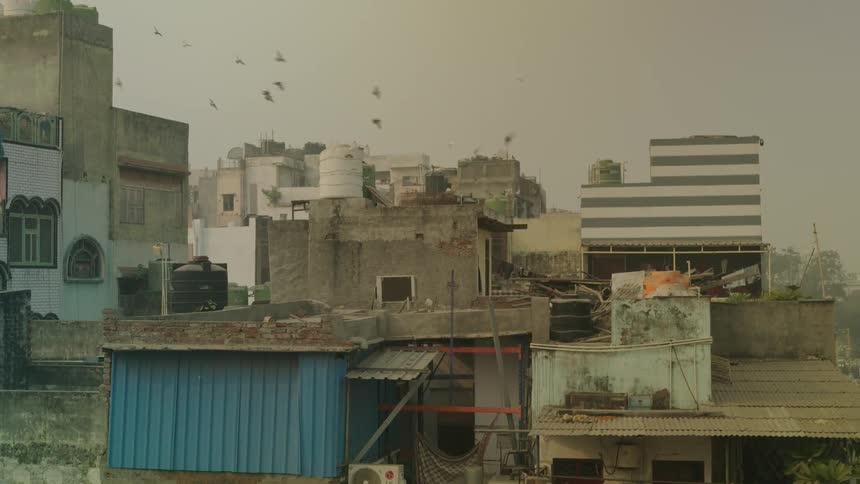 Flock of birds flies through the air above the buildings in a town