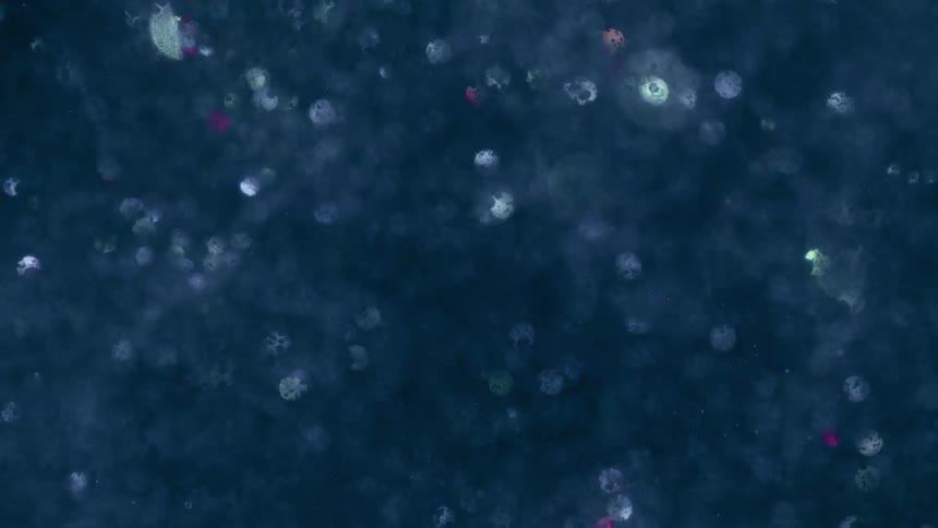 A dark blue surface is adorned with scattered shimmering specks of white and light blue light
