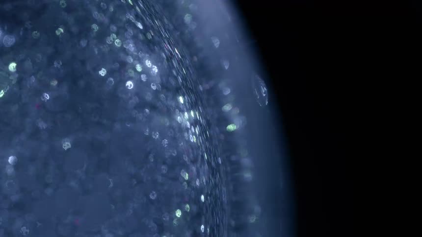 Silver specks shimmer in the light