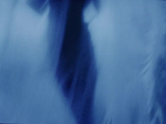 A blurry silhouette of a person holding flowers is visible behind a curtain all bathed in a blue hue