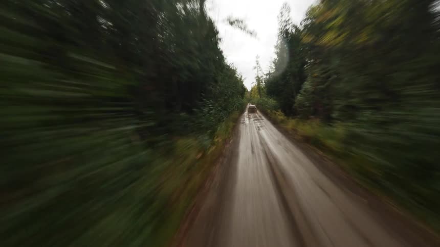 A footage of a car running in the middle of the woods