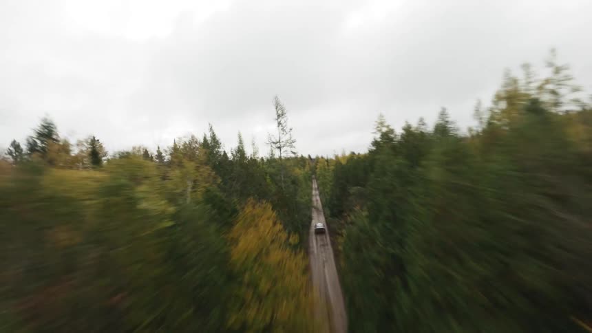 An aerial view of a narrow dirt road cutting through a dense forest with a vehicle traveling along it surrounded by a mix of green and autumn colored trees
