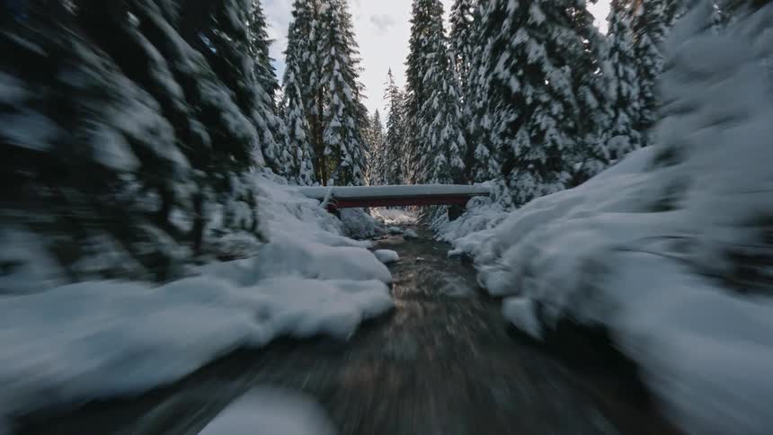 River is flowing through a wooded forest during the winter