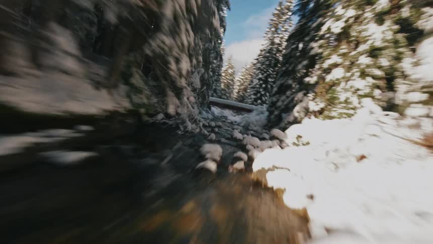 A snowy narrow stream flowing between snowladen trees in a dense forest