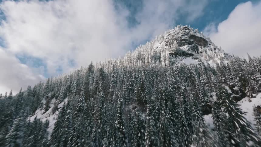 Coniferous forest with snow and mountains in the background