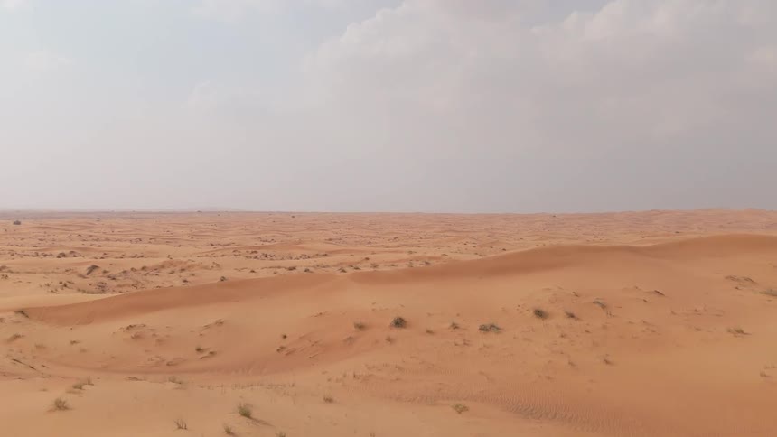 Desert landscape is covered with dunes of sand with little plant life
