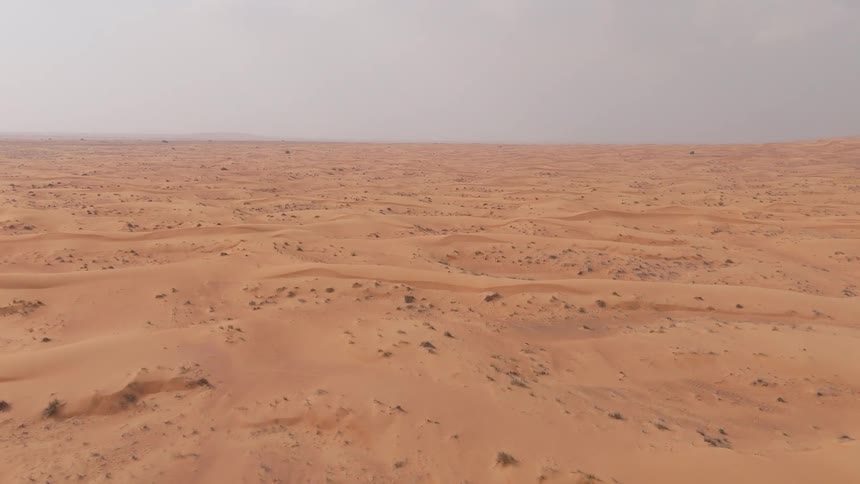 An aerial view of a vast desert landscape dotted with sparse vegetation under a muted sky