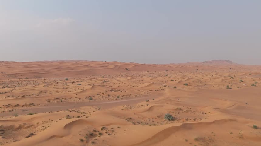 From behind a tall dune drifting sand catches the wind before revealing a vast sweep of undulating orange dunes scattered scrub and a broad horizon under a pale sky viewed from a raised vantage overhead