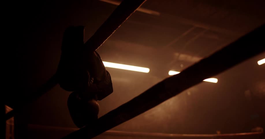 The light is barely coming through the windows and you can see the outline of a person standing beside of ropes