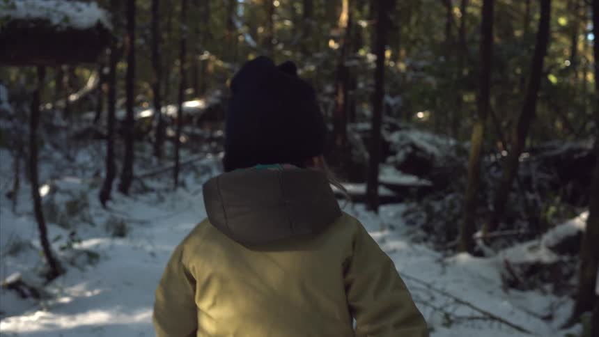 The person in the green jacket and hat are walking into the trees that are covered in snow