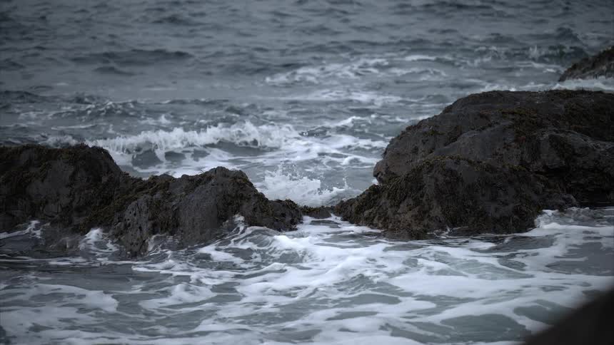 Waters and rocks with moss in the ocean