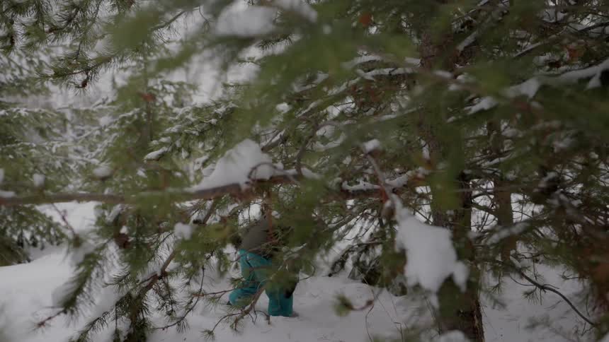 A boy crouches as he walks under tree limbs heavy with snow in a forest