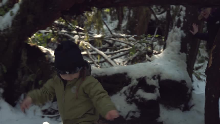 A family walks under downed trees through the snow in a forest
