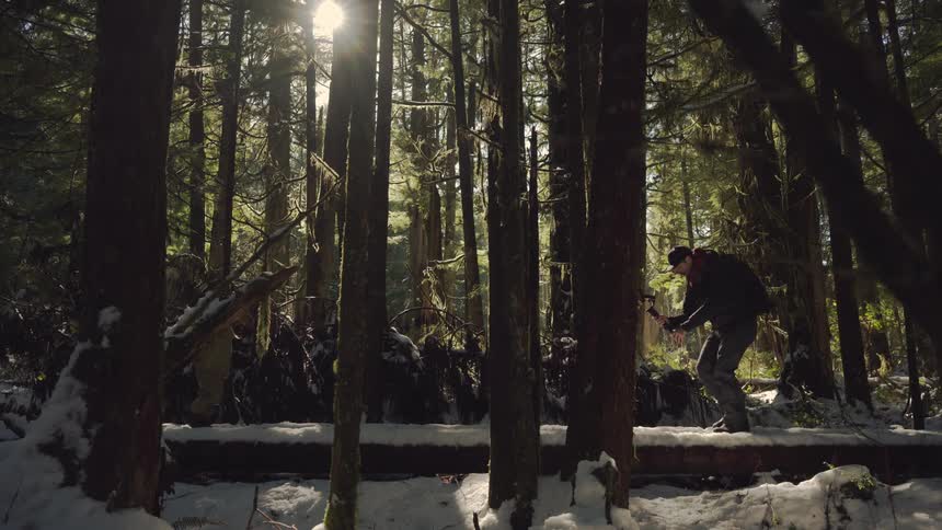 People are being filmed walking in the woods