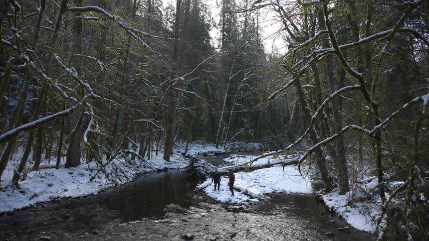 Two people stand near a slow moving stream winding through a snow dusted forest with bare branched trees