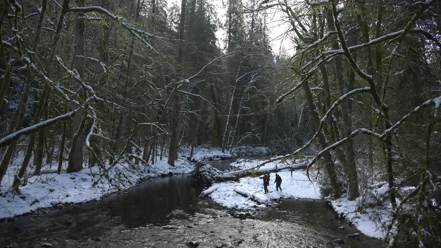 Three people including a man holding a child walk through a snowy forest toward a shallow river with tall mosscovered trees standing on both sides patches of snow covering the ground and subdued winter light