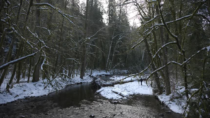 A couple walks near a stream winding through a snow covered forest surrounded by towering pine trees