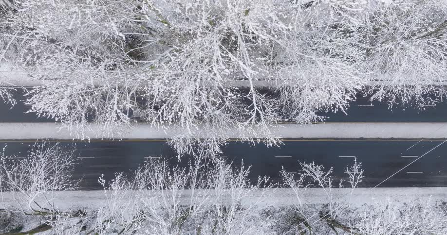 Top down traverse over a quiet snowy landscape as a gray car drives below a frosty canopy of tree branches coated in fresh white powder