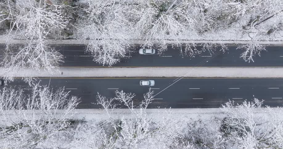 Top down view of two way traffic through snow covered tree branches