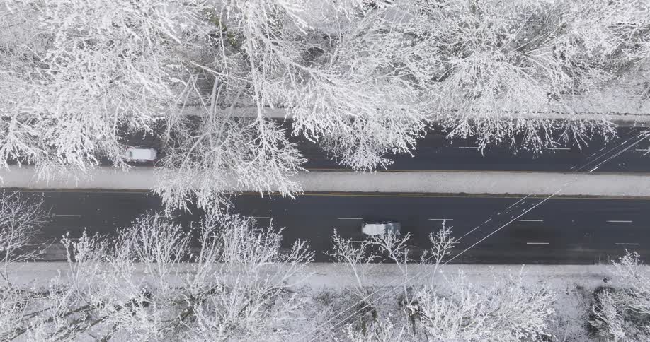 Cars travel on a slushy road under a winter wonderland of white trees