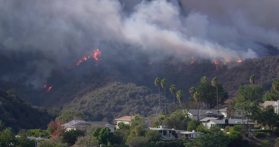 Thick smoke billows from a hillside forest fire as bright flames edge across the slope looming over a residential area with palm trees and rooftops below while the sky remains partially obscured by haze