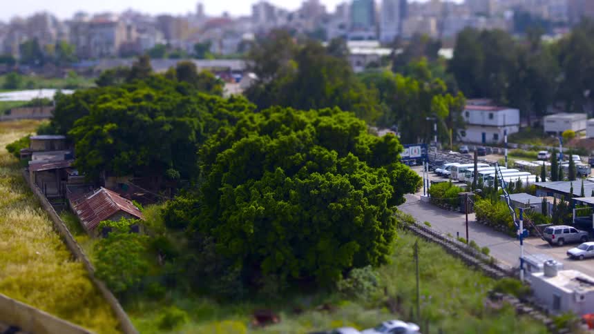 A park in an urban area