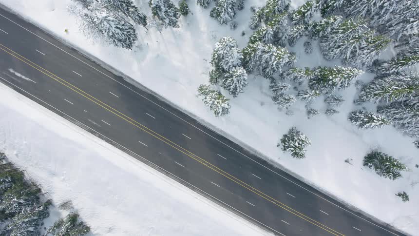 Dappled sunlight filters through the trees onto an empty divided highway running through a snow covered forest
