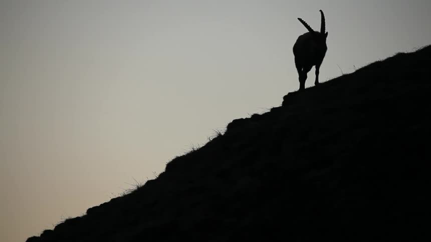 Mountain climbing up a hill at dusk