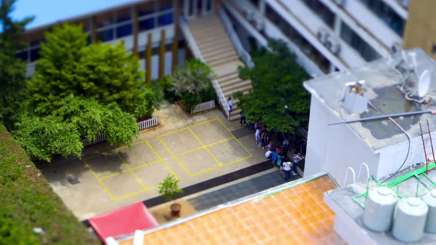 A group of people clustered together in a school courtyard marked with yellow lines surrounded by buildings and foliage