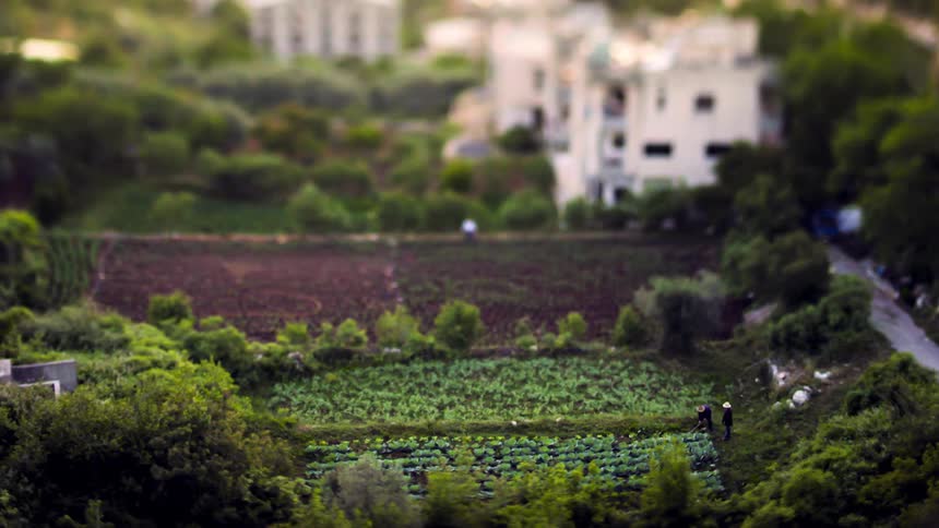 A person walks past a garden area where a person is working on the field