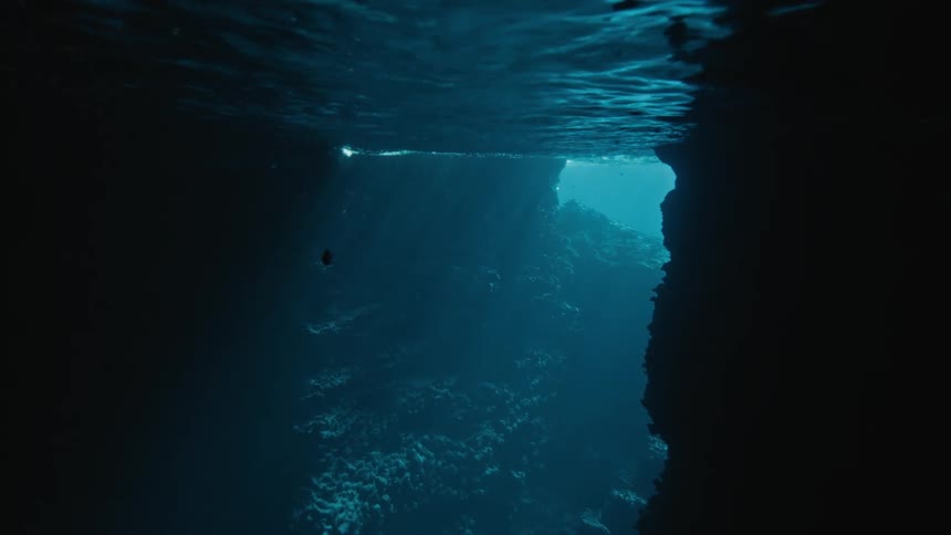 Under the surface of an ocean a fish is swimming by itself