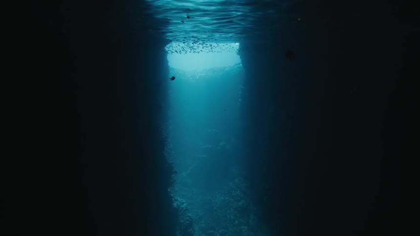 A fish swims into the sea cave