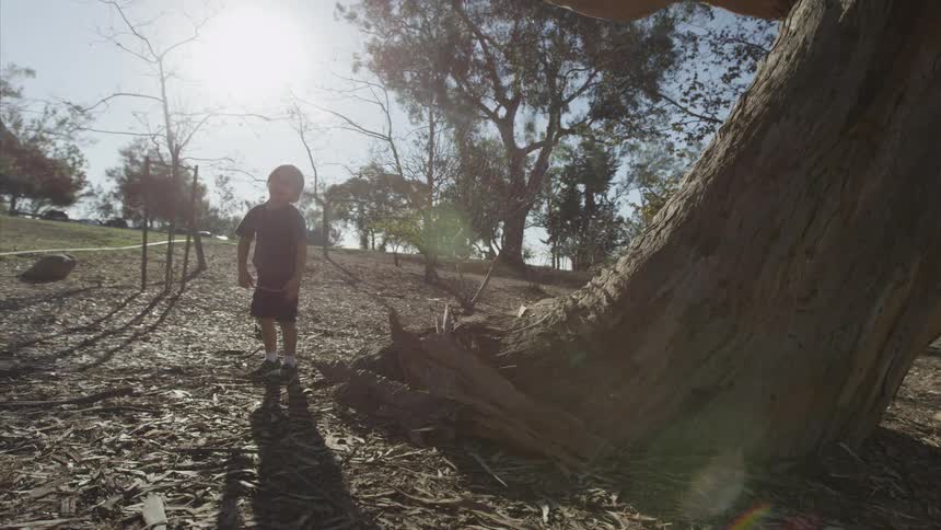 A kid sitting in front of a tree