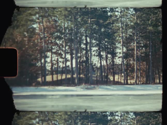 A row of tall trees against a bright sunlit background with a strip of snow covered ground in the foreground and a dark frame edge