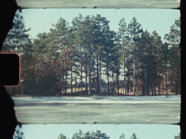 A line of evergreen trees against a clear sky with a strip of snow covered ground in the foreground and a dark frame edge