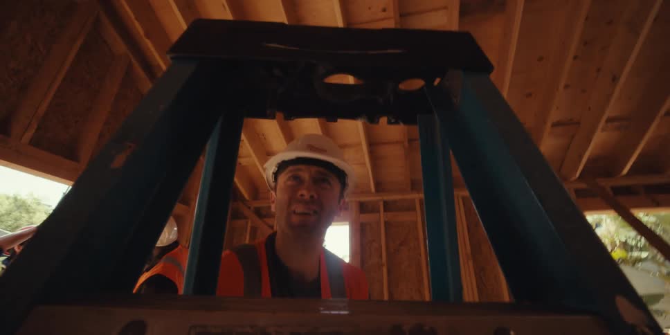 A construction worker is carrying a ladder
