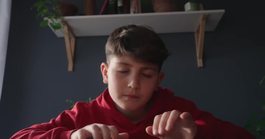 A young boy in a red hoodie is typing on a laptop keyboard with a dark blue wall and wooden shelves adorned with small plants behind him