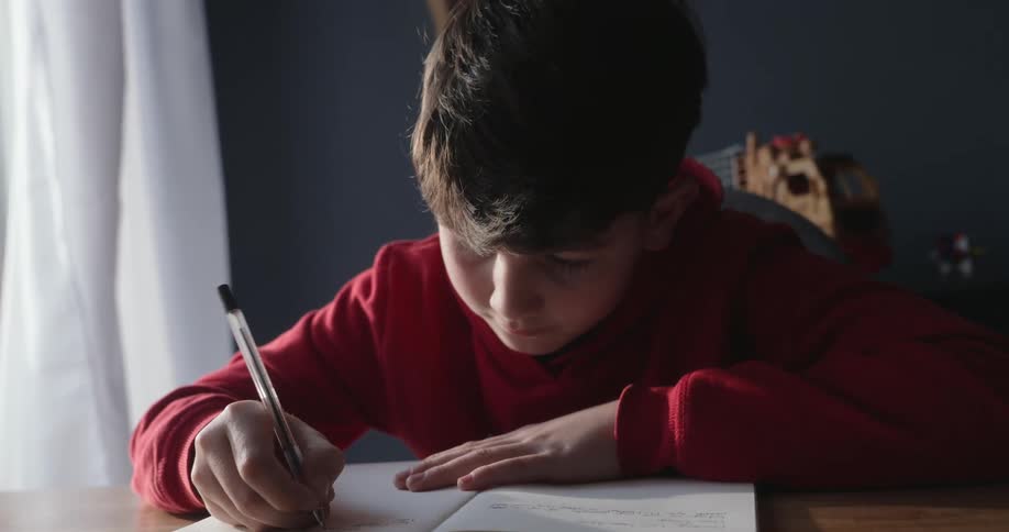 A boy is writing with a pen in his notebook