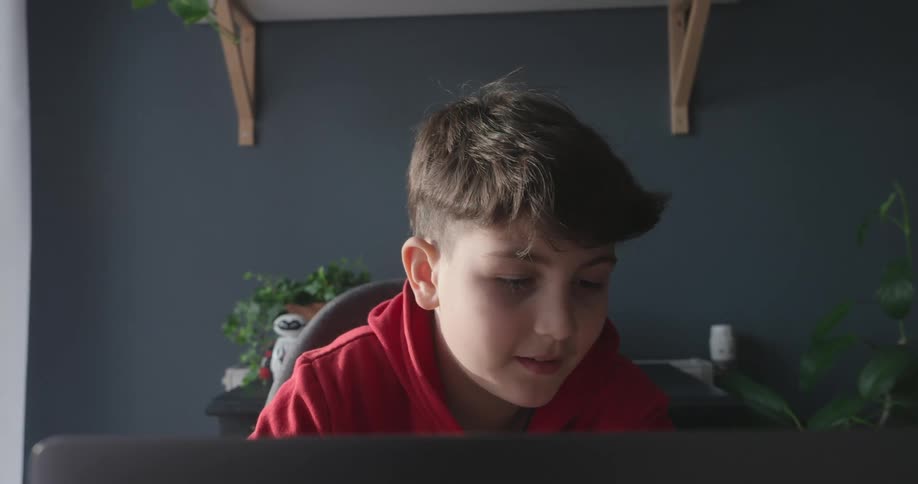 A young boy in a red hoodie is having a video call on a laptop with a dark blue wall and wooden shelves adorned with small plants behind him
